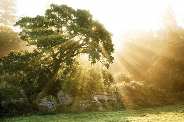 Photo 555593
