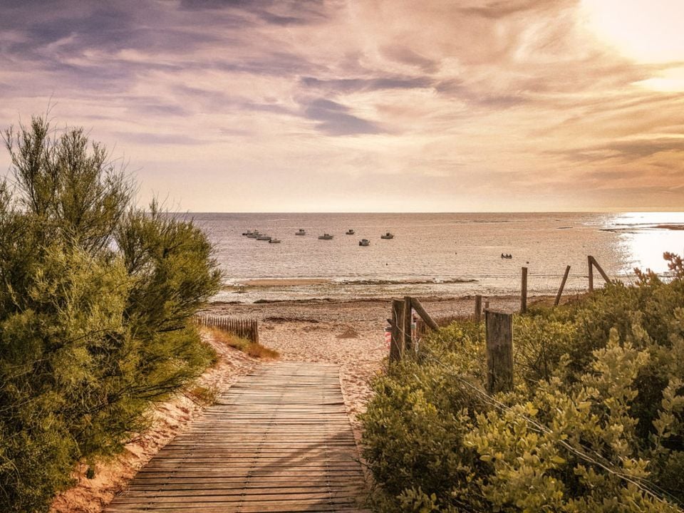 Photo 966939